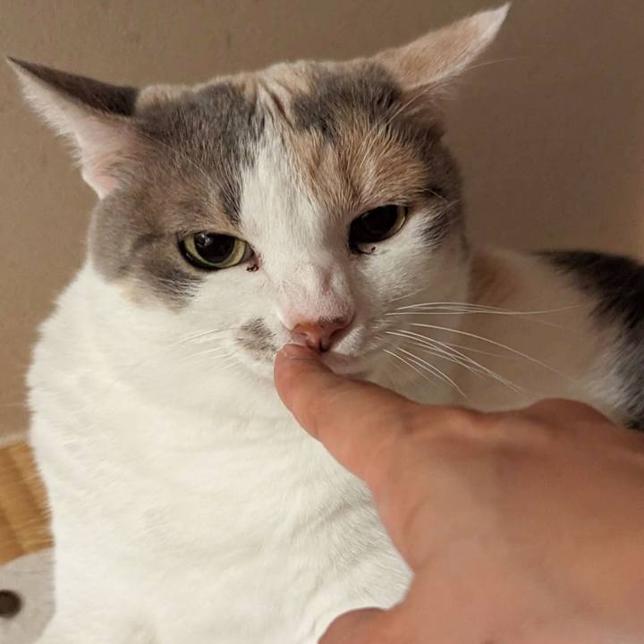 C03dd250 303b 4f38 b14a 0d6f554a2e6a 1696775045398