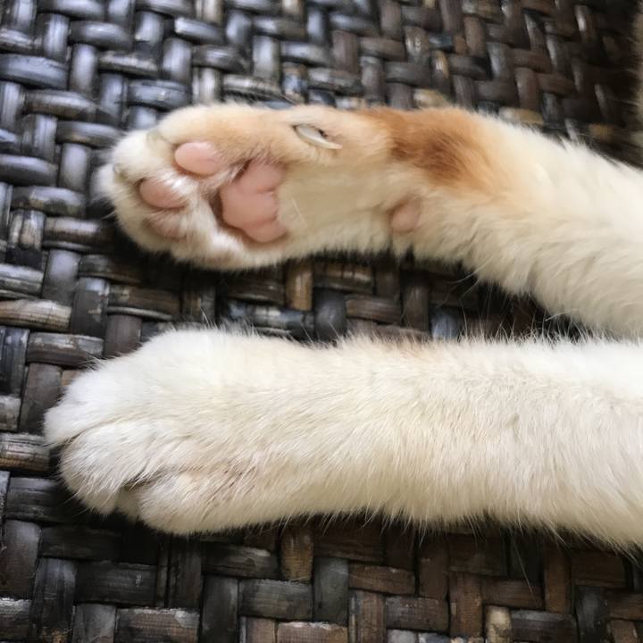 C03de170 47d3 49d8 bef7 87c59dfe41d3 1532824905005