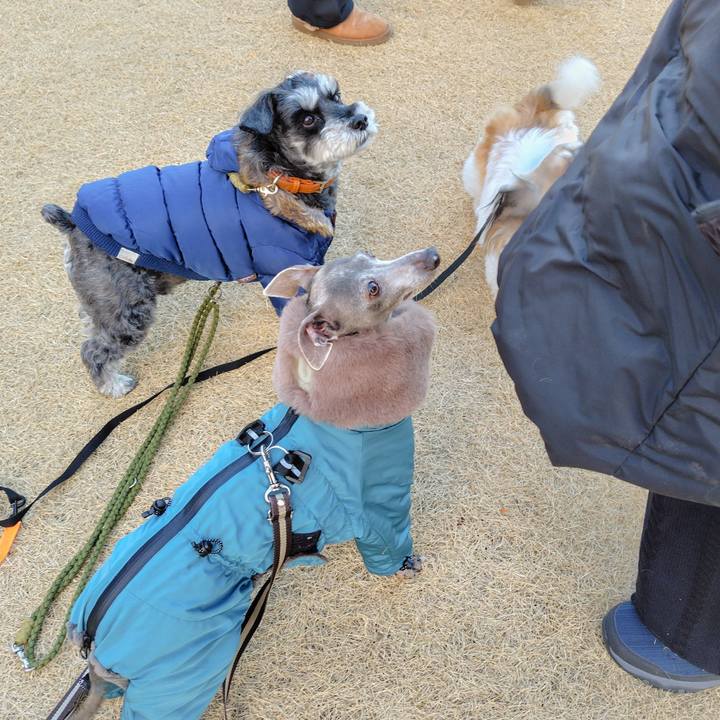 C03dec34 ba24 43d1 be2c 2907a70977c4 1769598636912