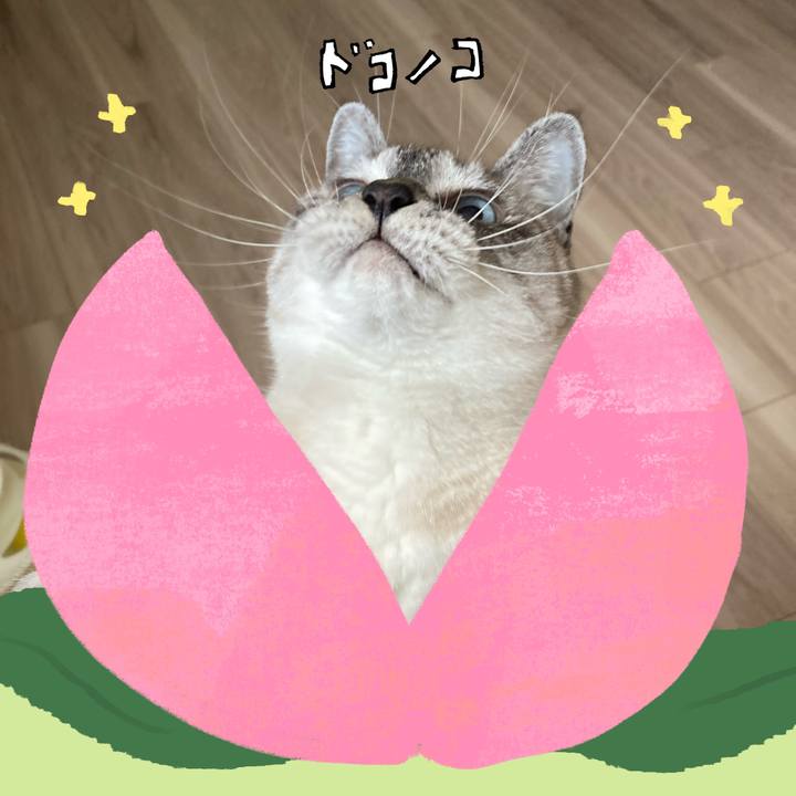 C03e0163 5d09 43d6 aca5 c68acce8acbc 1771844360328