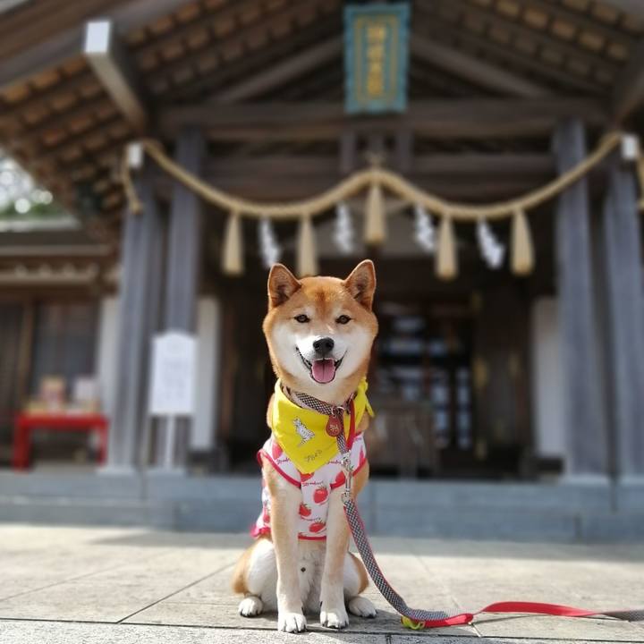 C03e149a c470 458f a8c5 c8993eebecc9 1616842252934