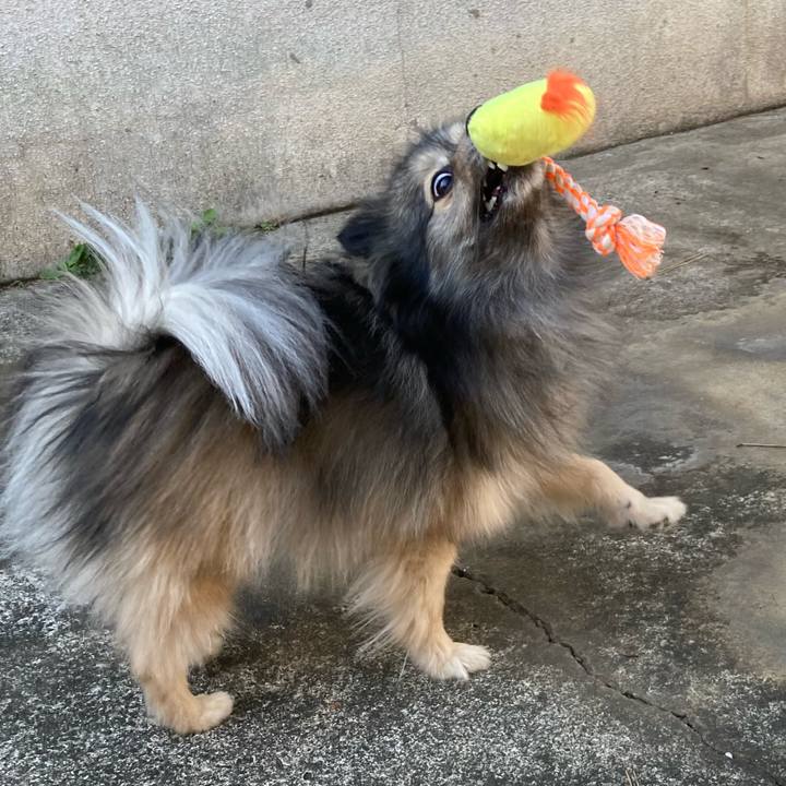 C03e207c 3559 4254 a818 d124f72233b5 1643008114400