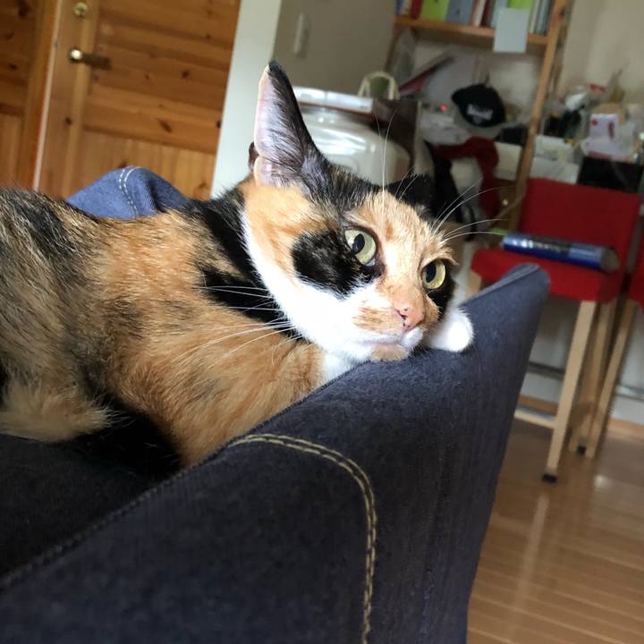 C03e4355 3ad8 40c1 b63f 08ae3aebce01 1530750632578