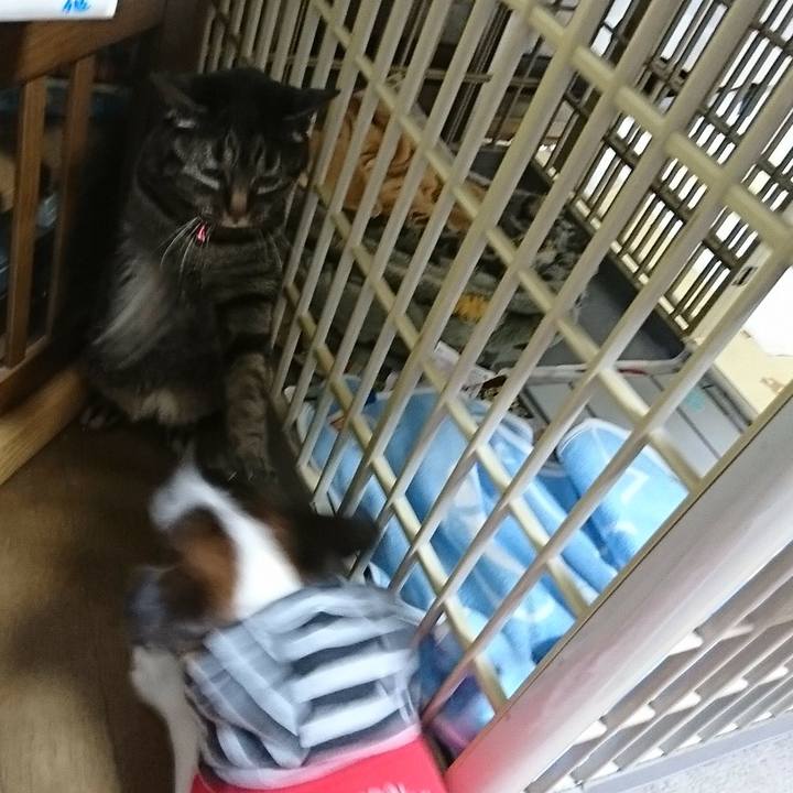 C03e5118 a55a 4df3 a97a 4b34657b4908 1521988788177