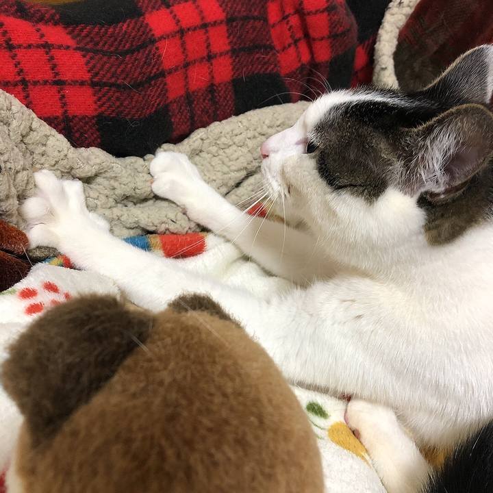 C03e5f74 40b8 4985 af7d 8b777b5ab747 1648560500811