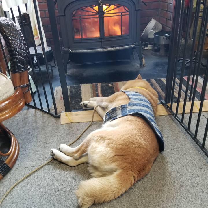 C03e63ce ea21 45c6 b186 65141360e82e 1675207872776