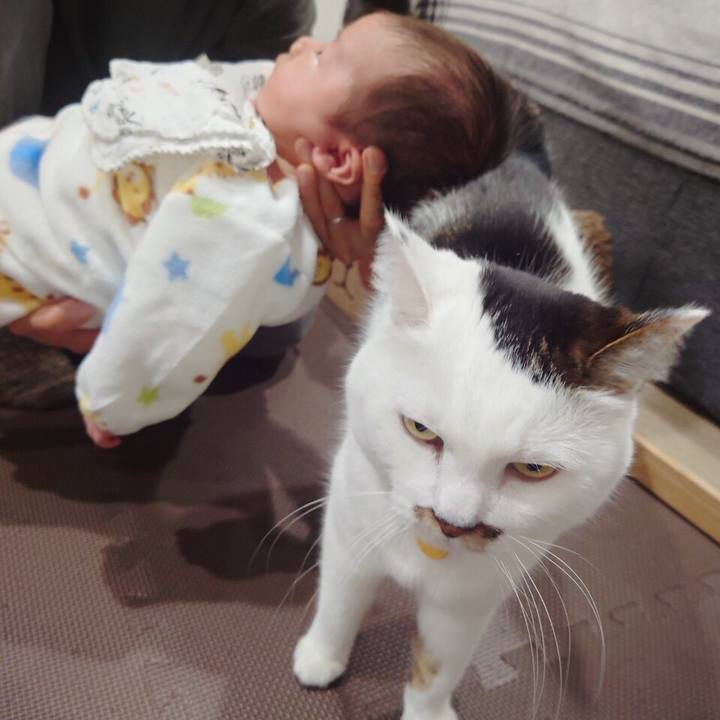 C03e6912 0b27 45af a5bf 9b38d0696588 1611644153404