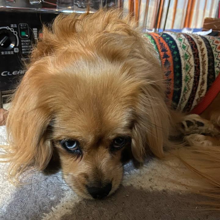 C03e9092 24d5 45ba a1ed e4463365f64b 1580075501121