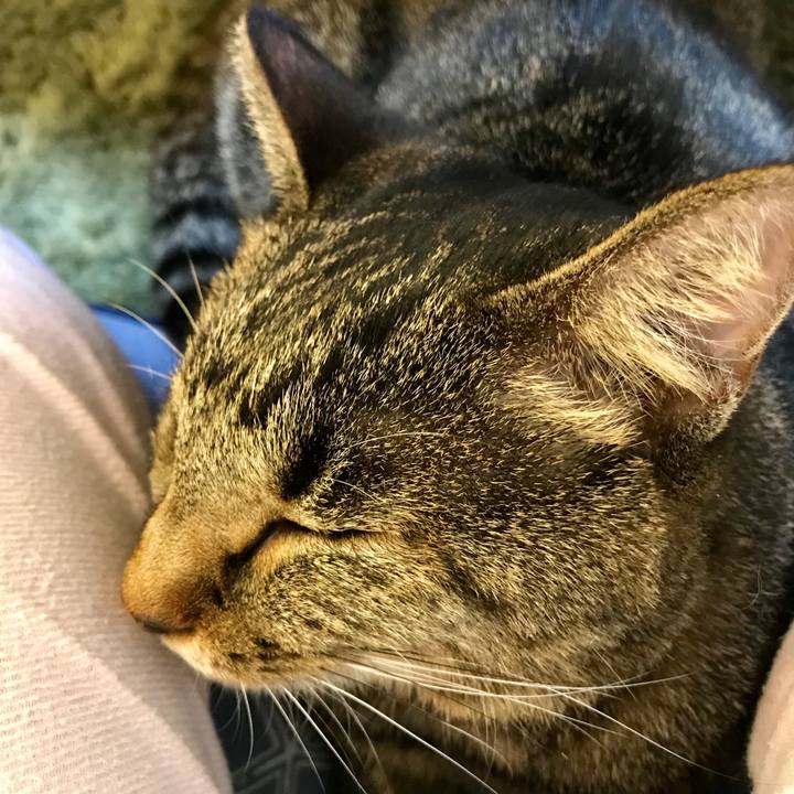 C03e9303 1d67 4f93 84f7 521ca0aade00 1540723137059