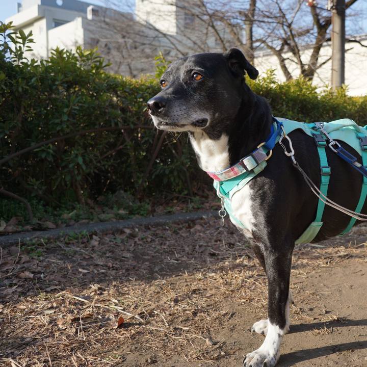 C03e9741 3301 4b47 abcb 11ee0afa9a74 1771807454663