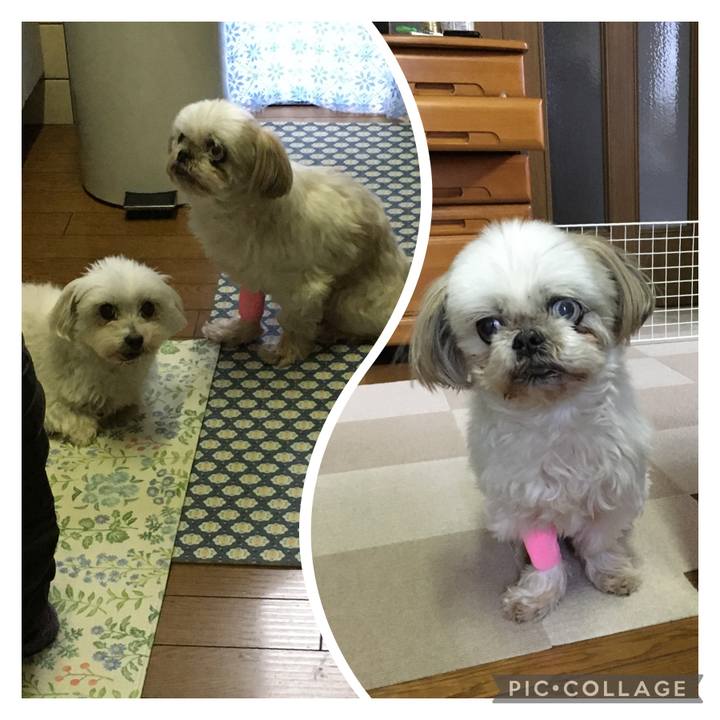 C03eb923 0149 4be3 a53b ef9baa244c74 1647773371742