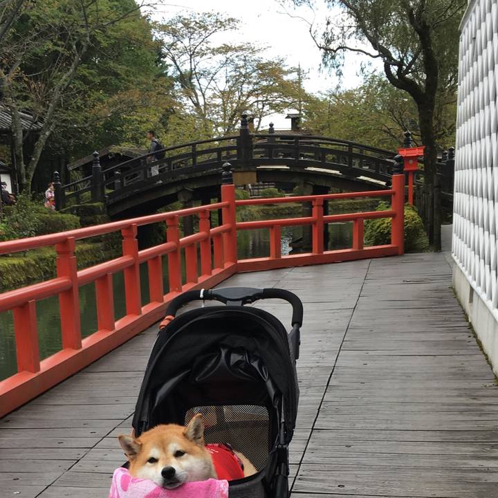 C03ed6d0 8562 4ad4 bfff 73987d2bb60e 1570262907488