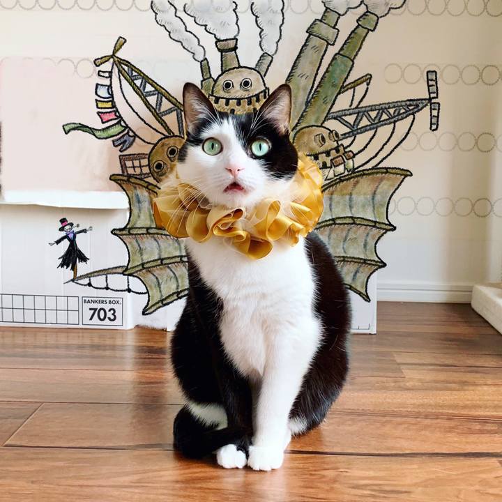 C03eef19 c0c6 4ff4 afa4 f520221a3692 1619825442215