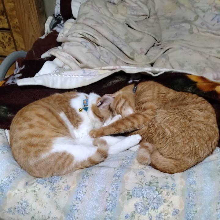 C03f416b 2819 41aa a0f3 abd6492ce323 1739189608879