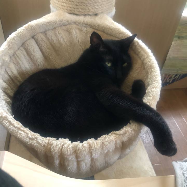 C03f628c d234 4d3b 9d14 a7de45a58fcd 1651906477772