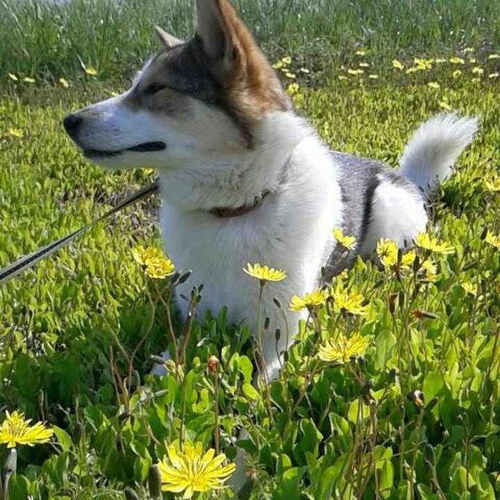 C03fb890 0d35 4627 a693 70320adfa50e 1558513018711