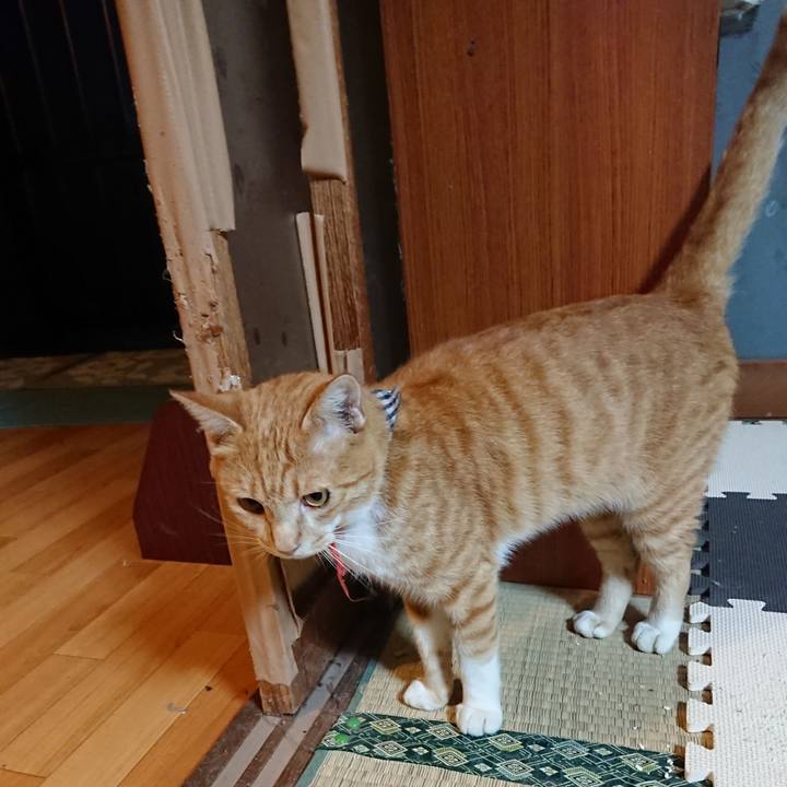 C03fcc5f c908 41e8 bbe3 1ee2825024cf 1570179598211