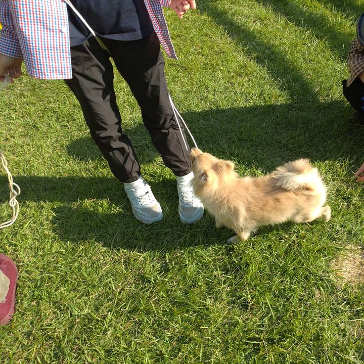 C03fd208 a199 4bcb 84d7 2a9b1e354ec9 1728777377763