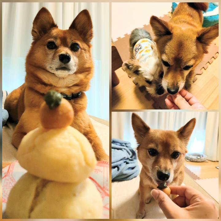 C03ffa2e 07da 4a21 8a33 ffe39b01241f 1642211041380