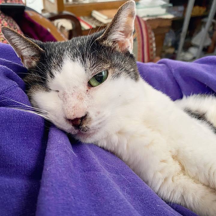 C0400298 7544 48e2 81cd dff3fd729f4c 1607780030062