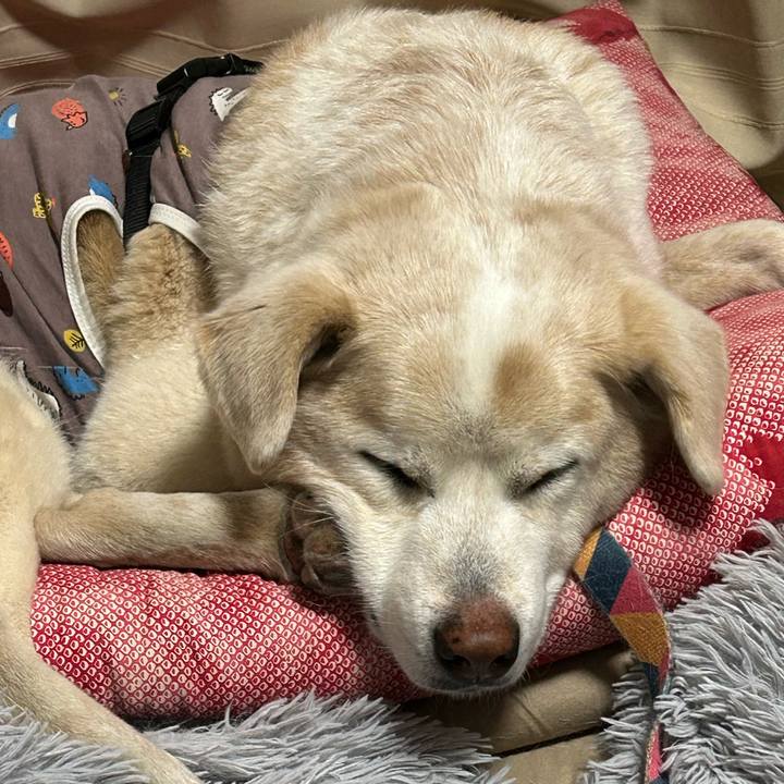 C040306c c79f 4e8b 9573 28f6e5bf8970 1710510984969