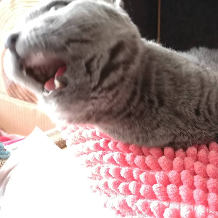 C0405b23 8293 44fa b596 27cdc5462973 1634960858123