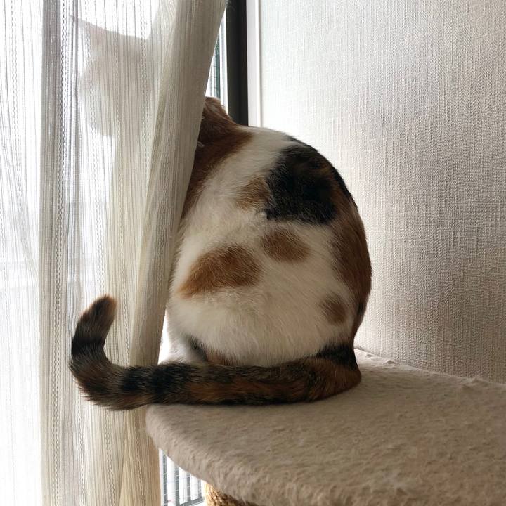 C040b1a5 f752 42e2 bb35 bc63a11d81db 1587512250624