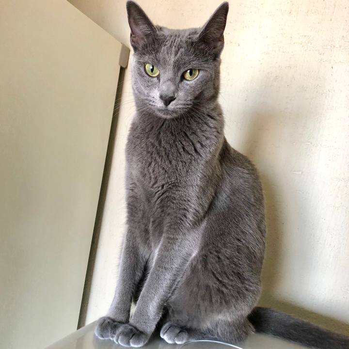 C040eb16 08c9 4578 b520 aee501a0f6d8 1569459911098