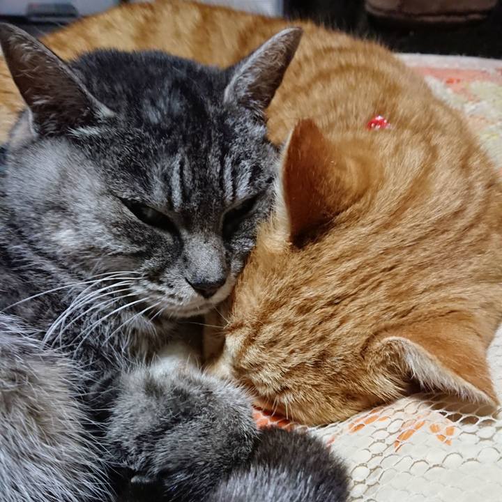 C040ee89 2089 4a14 b283 5aafe4490186 1577014822111