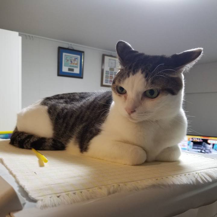 C040f234 0690 471f b0f0 1bbb79ef5e23 1616967255947