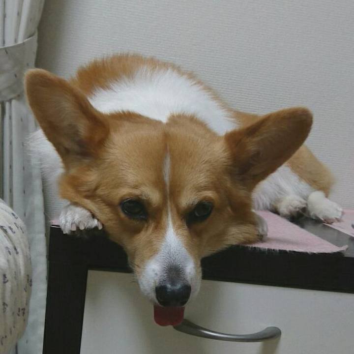 C041385e 9d02 43ca a027 8e4c4835cfa9 1523004966698