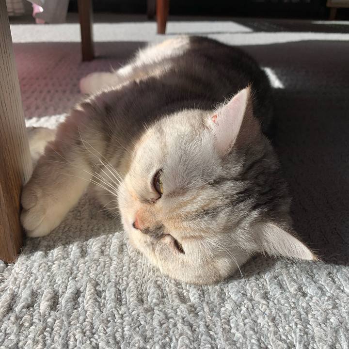 C0413a2e 9d48 4a9b 8cf8 6945656e8e7c 1708731591003