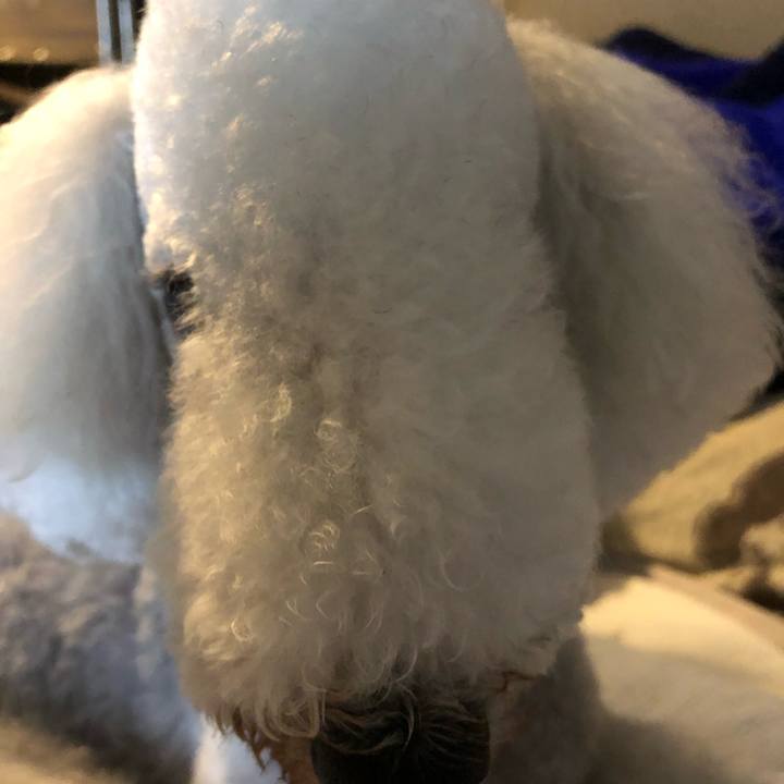 C04180cb 75ff 43d7 8345 990db1c0f3dc 1625390908063