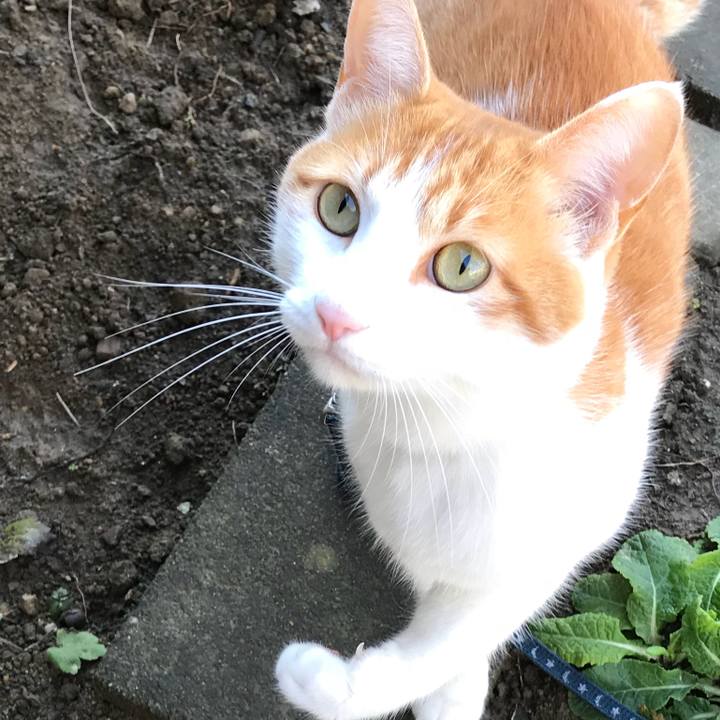 C04193df 81e6 45cc 8d19 4878171420d4 1511511557422