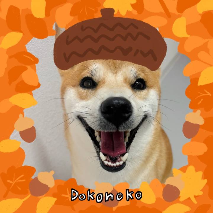 C041ede3 1c6d 4be4 8698 31f371ccfab9 1789714421162