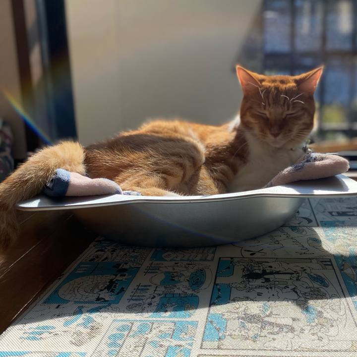 C0420659 117c 42b2 8334 03bdca3b5dfb 1731847458393