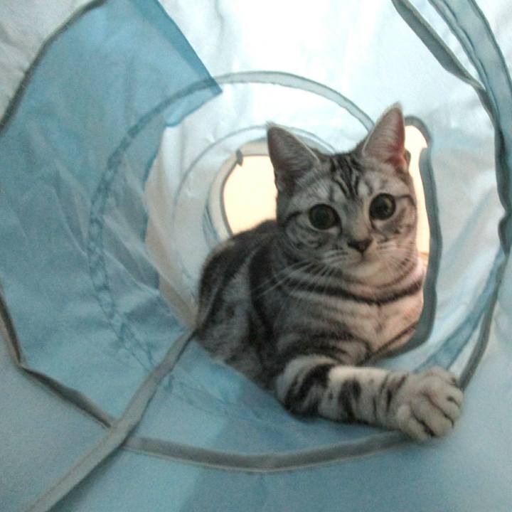 C04254f0 27be 414e 84f1 b22bb2233fd9 1546167757191