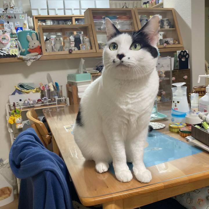 C042595c 3d1c 4bab 9420 3d373b4cd523 1762632582478