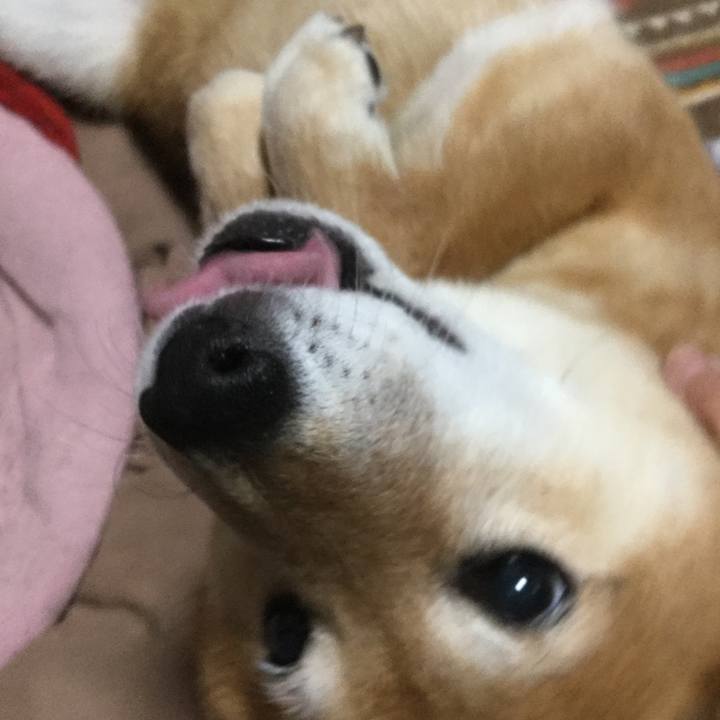 C0425b52 f9ac 4cb9 b399 da9204e49437 1554713105364