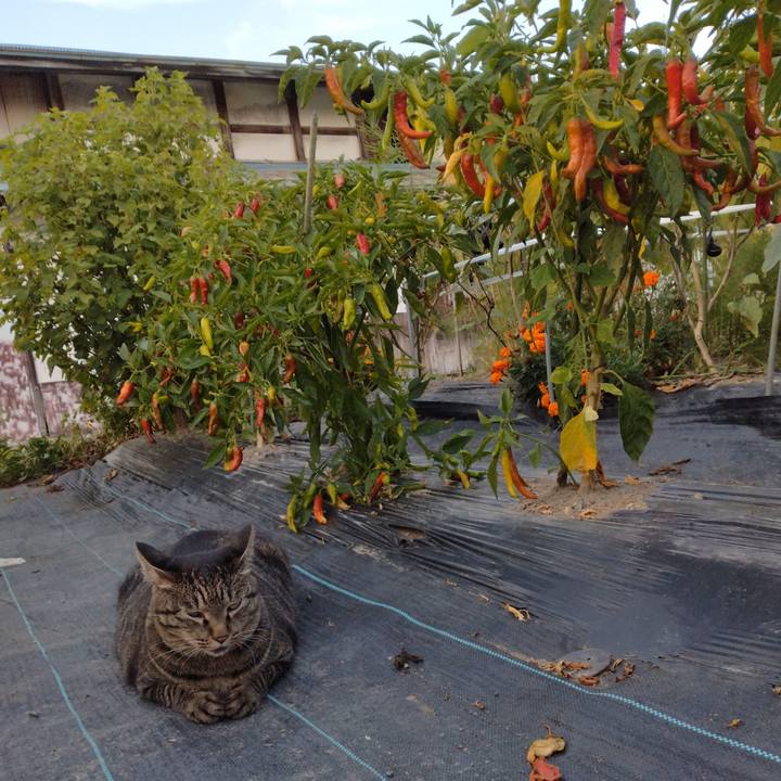 C0426816 f686 4008 a75b 79c0e7b98003 1693733516448