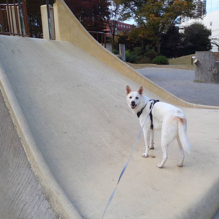 C0427157 d09c 400a 8139 fc76f40281ee 1668219924514