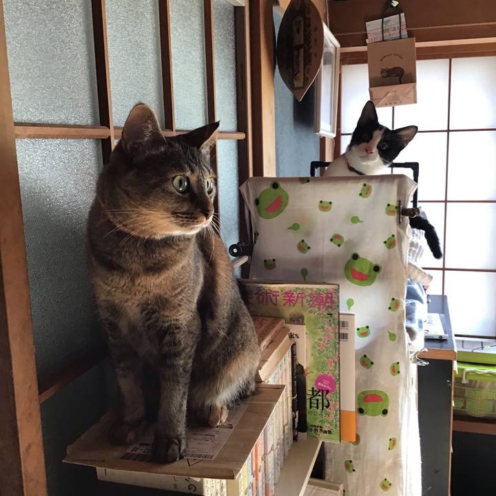 C0429134 4093 4058 b602 cca34d91143c 1630291258706