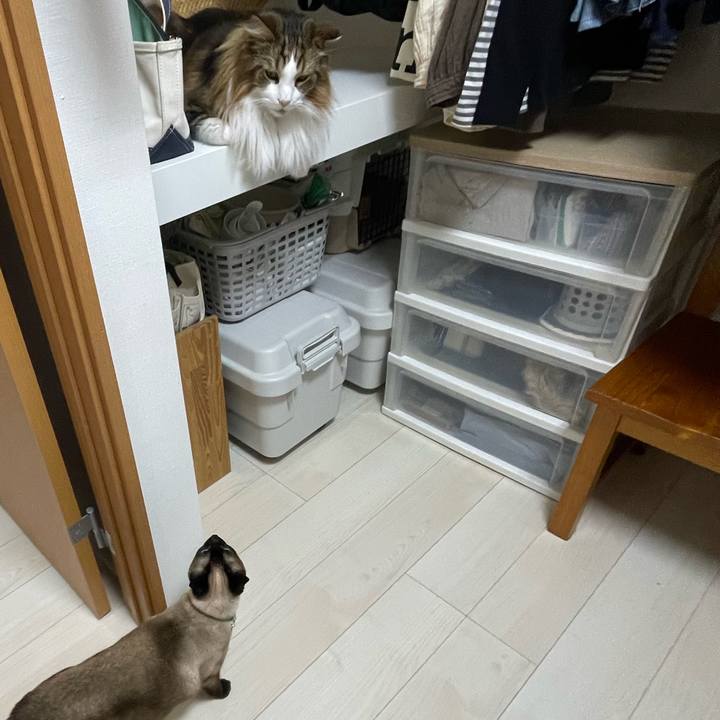 C042ab6c 5636 4aa9 9e68 858a20d4cc94 1748381455393