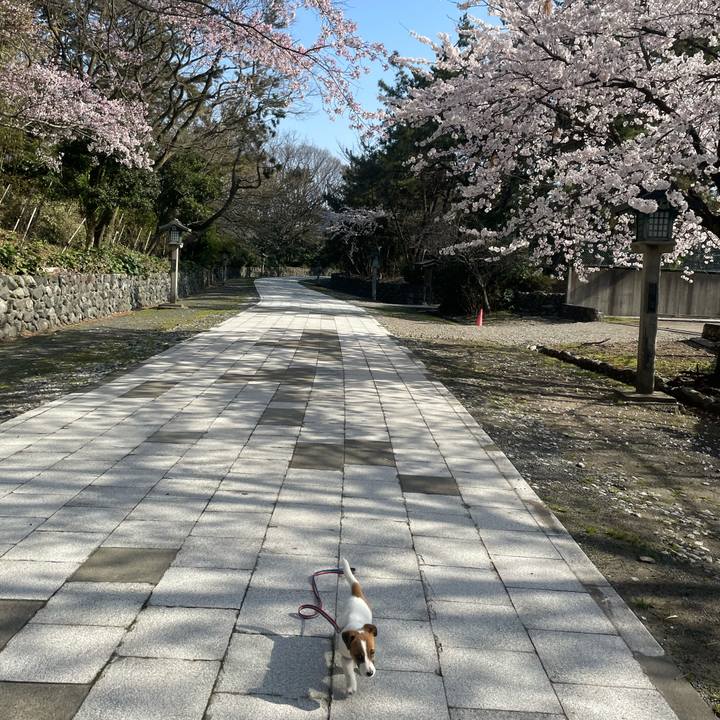 C0431949 c962 4b9f 80e6 a11daf6ae176 1617233834849