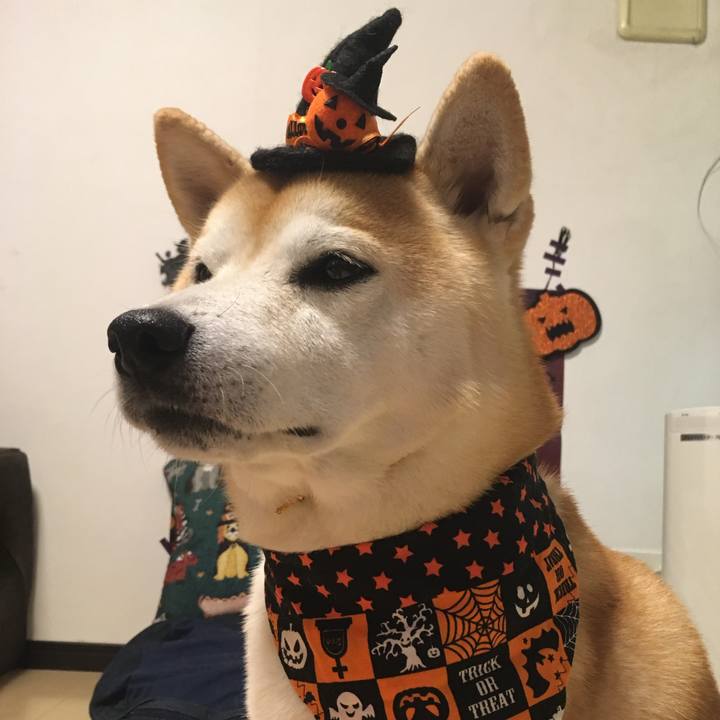 C043211d 9c70 41e7 ac68 c94223440d74 1761718978811