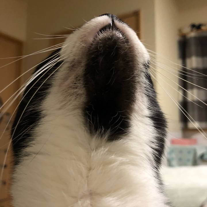 C0434560 5799 4c49 95fd d2994a70a296 1556715525174