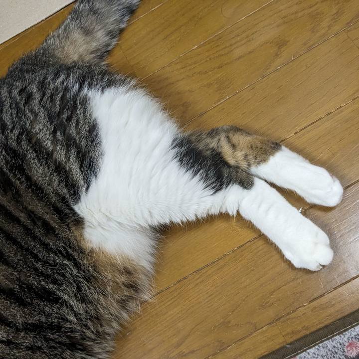 C0435d84 507a 413d b233 36899330ea43 1691884825045