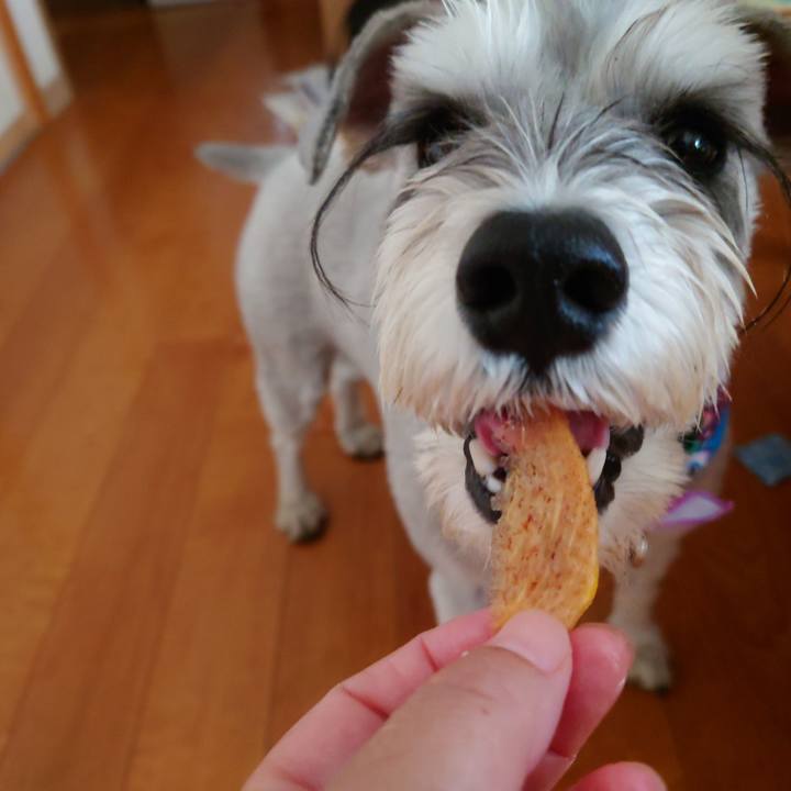 C0439b1f 38c5 48b9 b502 718fef5a8c97 1761174428294