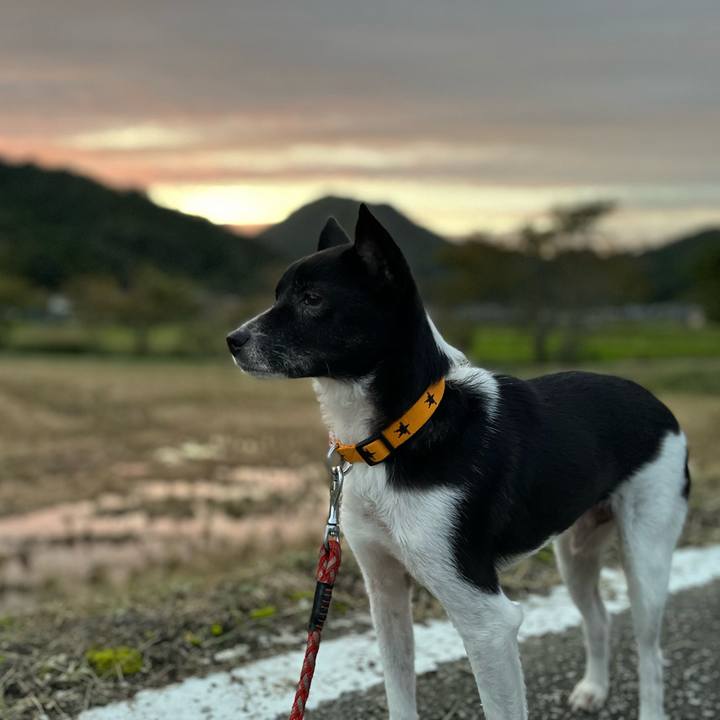 C043b2cd f7eb 40ba ba9f f80fe2296962 1665496664375