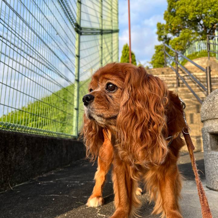 C04405da 8a30 4388 9d30 4ed09a6c03e7 1694210826021